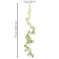 Ghirlanda artificiale con foglie variegate, 175 cm | Floristik24.it