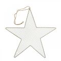 Floristik24 Decorazione a rete a stella in metallo decorazione a stella in metallo oro Ø47cm