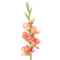 Floristik24 Gladiolo artificiale con molti fiori per bouquet, 88 cm