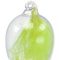 Floristik24 Uovo di vetro con piume per appendere 6,5 cm verde chiaro 6 pezzi