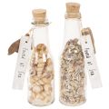 Floristik24 Decorazione per bottiglia in vetro con conchiglie e ciondolo, decorazione da tavola a tema marittimo, 17 cm, 2 pezzi