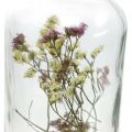 Floristik24 Bicchiere con candeliere, decoro in vetro con fiori secchi H16cm Ø8.5cm