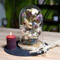 Floristik24 Campana di vetro decorazione piatto di legno decorazione da tavola mini campana di formaggio H13cm