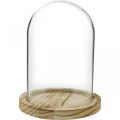 Floristik24 Campana decorativa, cupola in vetro con piatto in legno, decorazione da tavolo H16cm Ø12,5cm