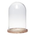 Floristik24 Campana in vetro con decorazione in vetro piatto in legno Ø17cm H25cm
