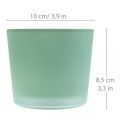 Floristik24 Vaso per fiori in vetro fioriera verde vasca in vetro Ø10cm H8.5cm