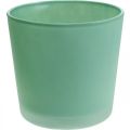 Floristik24 Vaso di fiori in vetro vaso di vetro verde fioriera Ø11,5 cm H11 cm