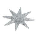 Floristik24 Stella glitterata argento Ø10cm 12 pezzi