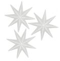Floristik24 Stella glitterata bianca 10cm 12 pezzi