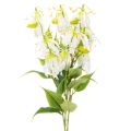 Floristik24 Fiore artificiale Gloriosa, bianco e giallo, elegante ramo fiorito decorativo, 80 cm, 3 pezzi
