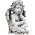 Floristik24 Grave angelo angelo grigio figura tombale decorazione tombale 24 cm