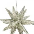 Floristik24 Stelle glitterate da appendere champagne decorazioni per l&#39;albero di Natale 7,5 cm 8 pezzi
