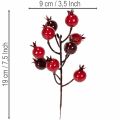 Ramo artificiale di melograno con steli ramificati, ideale come decorazione per vasi, 19 cm, 4 pezzi | Floristik24.it