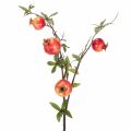Floristik24 Ramo artificiale di melograno, ideale come decorazione da tavola con frutti, 68 cm.