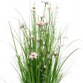 Floristik24 fascio di erba con fiori Rosa 70 cm