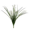 Floristik24 Cespuglio di erba con fiori verdi, bianco 3 pezzi