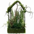Floristik24 Moss deco casa in erba con muschio artificiale e felce