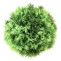 Floristik24 Palla d&#39;erba palla decorativa piante artificiali verde Ø15cm 1pz