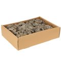 Muschio decorativo, muschio grigio per lavori artigianali, 500 g | Floristik24.it