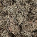 Muschio decorativo, muschio grigio per lavori artigianali, 500 g | Floristik24.it
