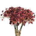 Floristik24 Gypsophila fiori artificiali rossi artificiali autunno 29,5 cm 18 pezzi