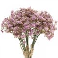 Floristik24 Gypsophila decorazione autunnale viola artificiale 29,5 cm 18 pezzi