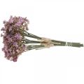 Floristik24 Gypsophila decorazione autunnale viola artificiale 29,5 cm 18 pezzi
