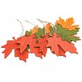 Floristik24 Ciondolo deco autunnale foglie di legno foglia d&#39;acero 22 cm 4 pezzi
