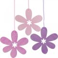 Floristik24 Fiore decorativo pendente in legno fiore in legno viola/rosa/rosa Ø12cm 12pz