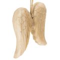 Floristik24 Ciondolo a forma di ala d'angelo in legno, decorazione da appendere, 12 cm