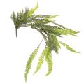 Floristik24 Felce artificiale, ramo di felce decorativo da appendere o fissare, 118 cm