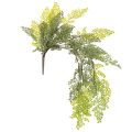 Floristik24 Ramo di felce artificiale, delicato, per vaso, 80 cm