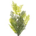 Ramo di felce artificiale, delicato, per vaso, 80 cm | Floristik24.it