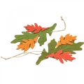 Floristik24 Ciondolo decorativo autunnale foglie di legno foglia di quercia 17 cm 6 pezzi