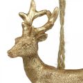 Floristik24 Ciondolo natalizio renna deco cervo oro 9,5 cm 4 pezzi