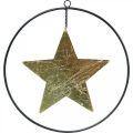 Floristik24 Ciondolo stella decorazione natalizia oro nero 12,5 cm 3 pezzi