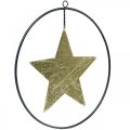 Floristik24 Ciondolo stella decorazione natalizia oro nero 12,5 cm 3 pezzi