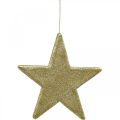 Floristik24 Ciondolo stella decorazione natalizia glitter dorato 30cm 2pz