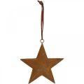 Floristik24 Ciondolo natalizio stella in metallo effetto ruggine H13,5 cm