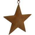 Floristik24 Ciondolo natalizio stella in metallo effetto ruggine H13,5 cm