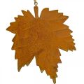Floristik24 Decorazione autunnale foglie in metallo effetto ruggine foglia d&#39;acero 6 pezzi