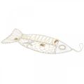 Floristik24 Pesce decorativo con decorazione a conchiglia, decorazione marinara, pesce da appendere bianco 38cm