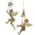 Floristik24 Ciondolo angelo dorato, decorazione angelo di Natale H20/21.5cm 4pz