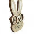 Floristik24 Ciondolo in legno coniglio con occhiali carota marrone beige 4×7,5cm 9pz