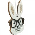 Floristik24 Ciondolo in legno coniglio con occhiali carota glitter 4×7,5cm 9pz