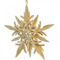 Floristik24 Fiocco di neve, decorazione per albero di Natale, decorazione per finestra Natale dorato 12 cm 4 pezzi
