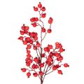 Floristik24 Ramo artificiale di rosa canina con bacche lucide, 62 cm