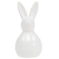 Floristik24 Coniglietto in ceramica bianco 7,5 cm 6 pezzi
