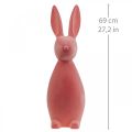 Floristik24 Deco Bunny Coniglietto di Pasqua Deco Floccato Arancio Albicocca H69cm