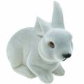 Floristik24 Figura decorativa coniglio grigio, decorazione primaverile, coniglietto pasquale seduto floccato 3pz